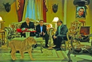 1310565948741992100_298