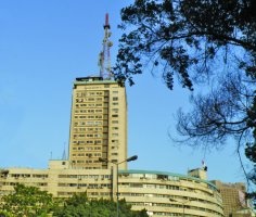 1317652774906862300_236