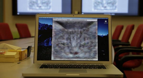 catsarticlelarge_600