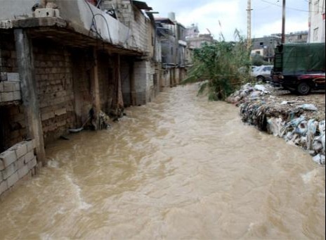 p01_20130110_pic1_465