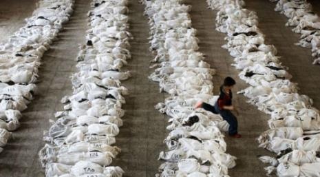 p14_20120529_pic1_465