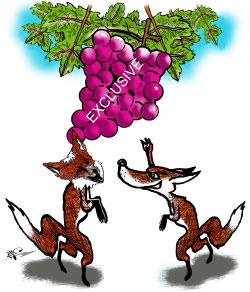 p18_20131021_pic1_292