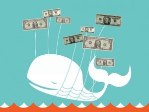 twittermoney300x225_300
